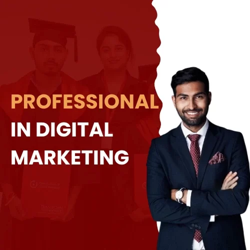 Professional in digital marketing